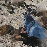 The Blue Bull &nbsp; | &nbsp; oil, mixed media &nbsp; | &nbsp; 22x26